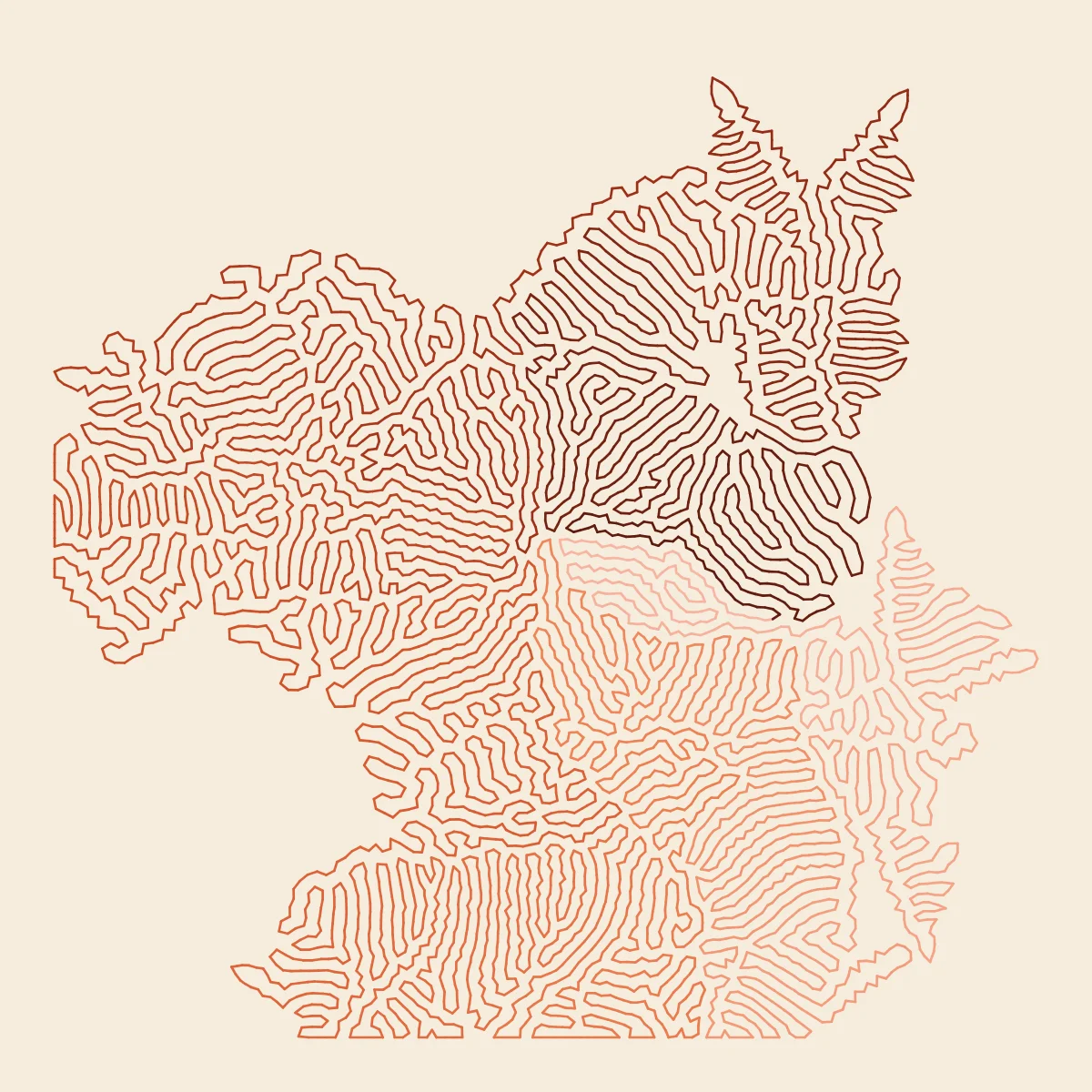 Differential Growth — generative artwork by Lumen & Logic