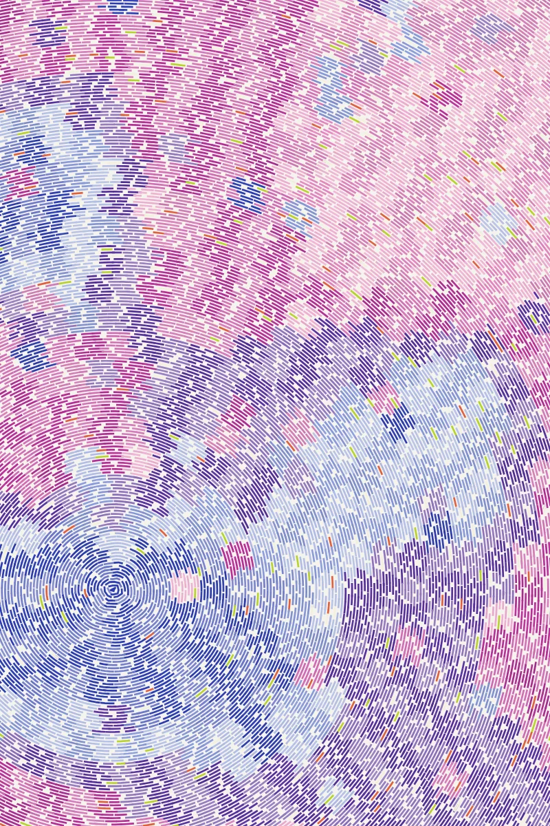 Whorl Quilt — generative artwork by Lumen & Logic